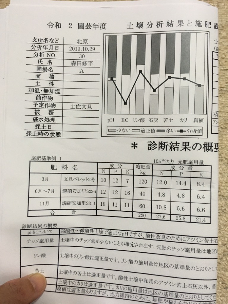 今日の草刈り、順調〜