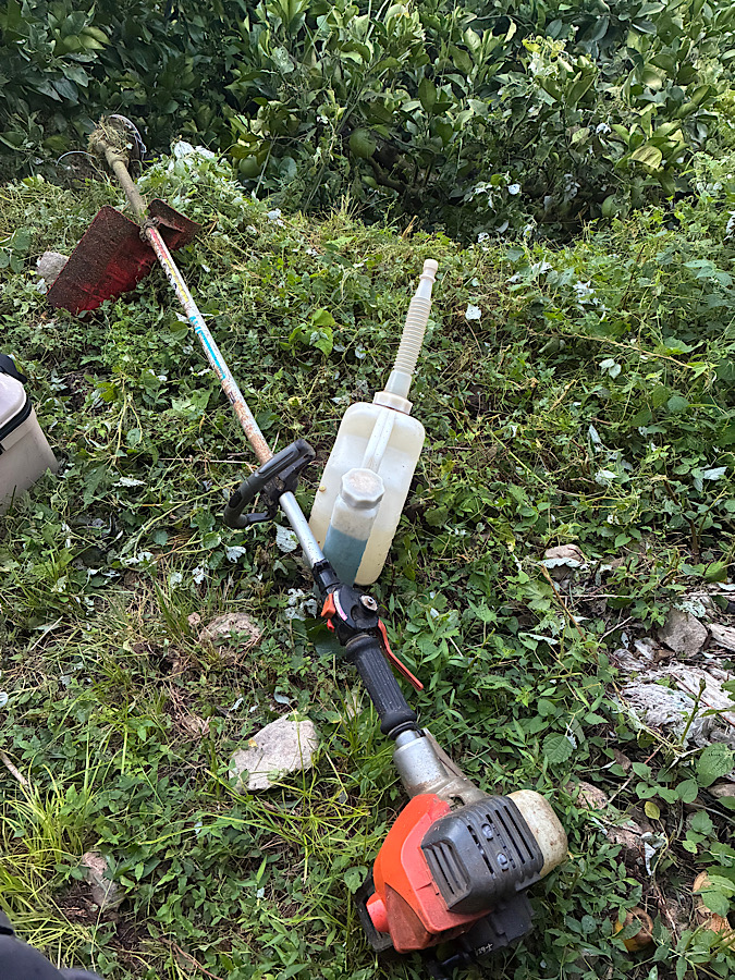 何かに刺された!( ゚Д゚)