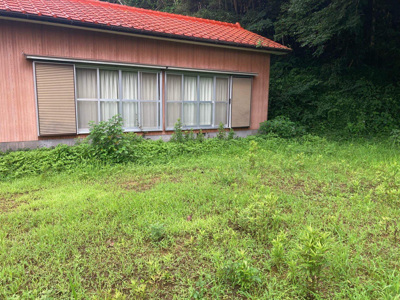 まだ梅雨だけど夏日きたー