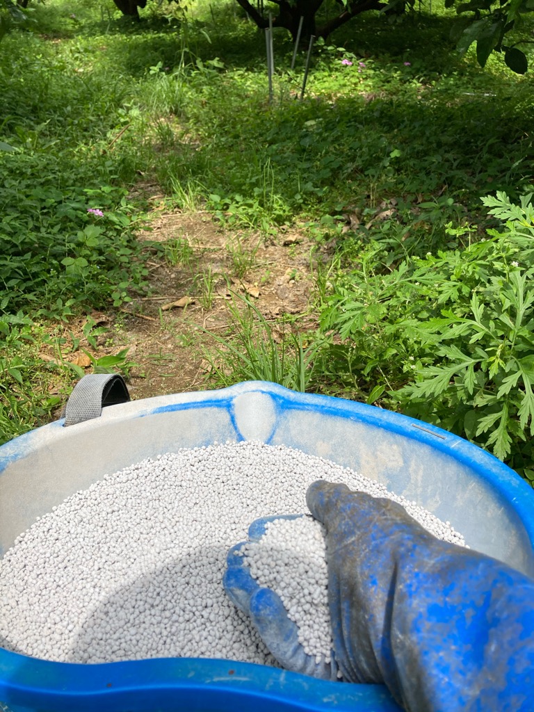 変な天候だな〜