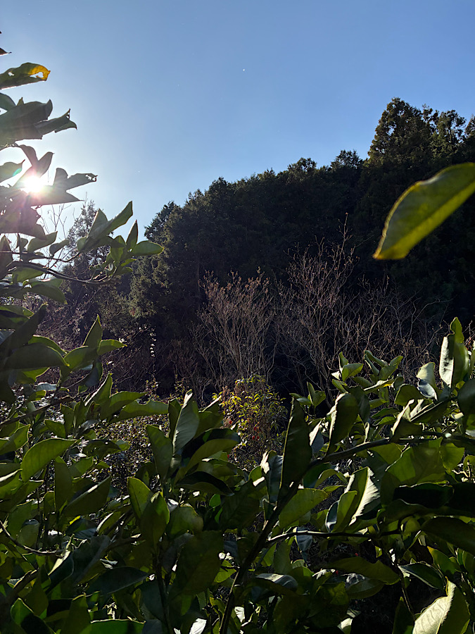 つかの間のひととき