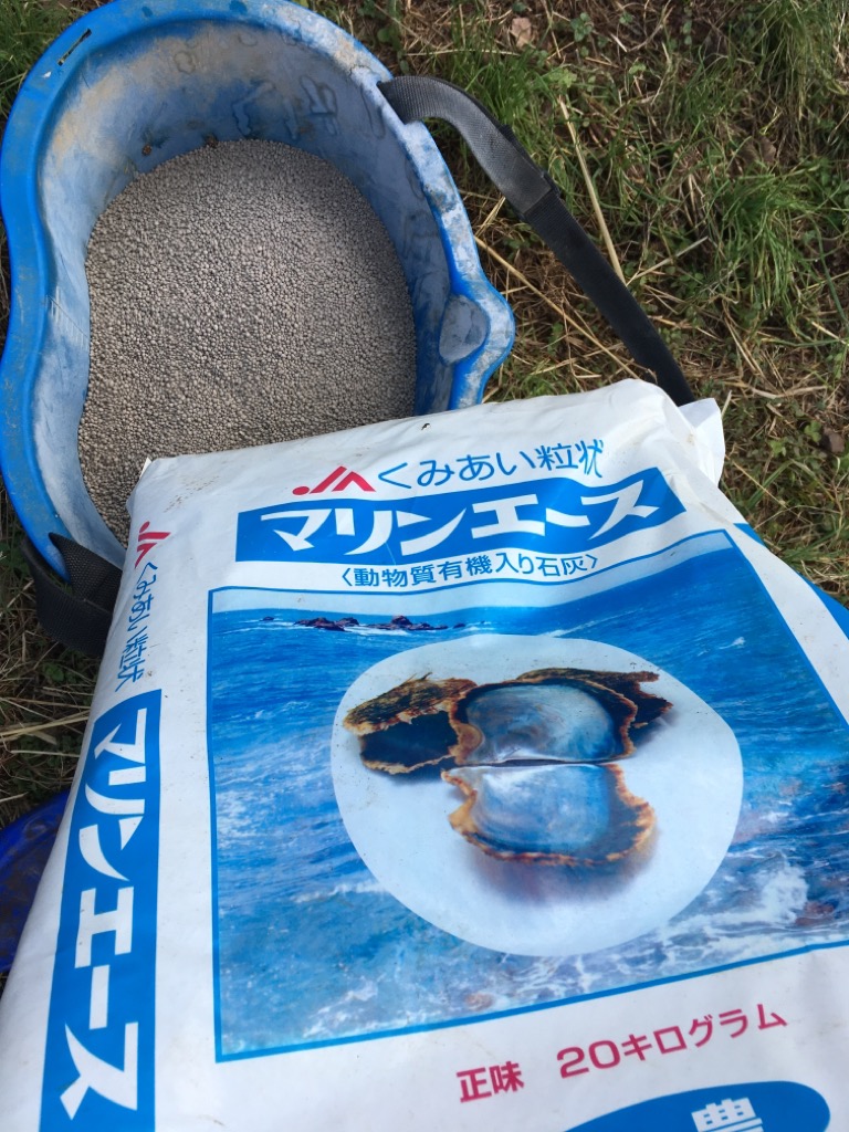 苦土石灰を撒きました。