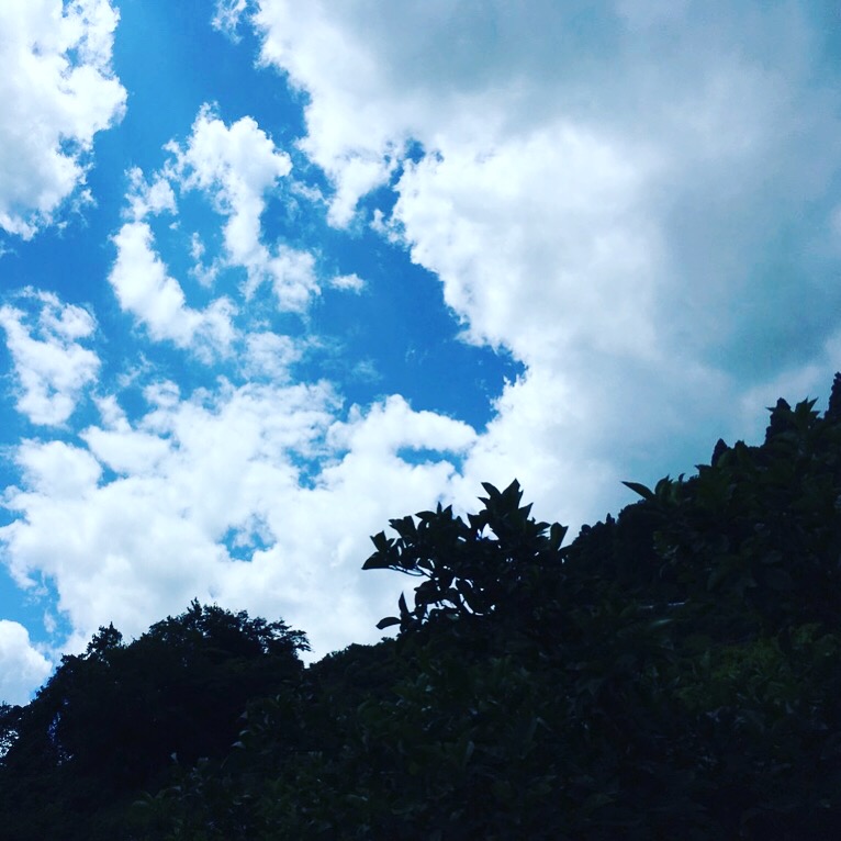 いつになったら梅雨入り！？