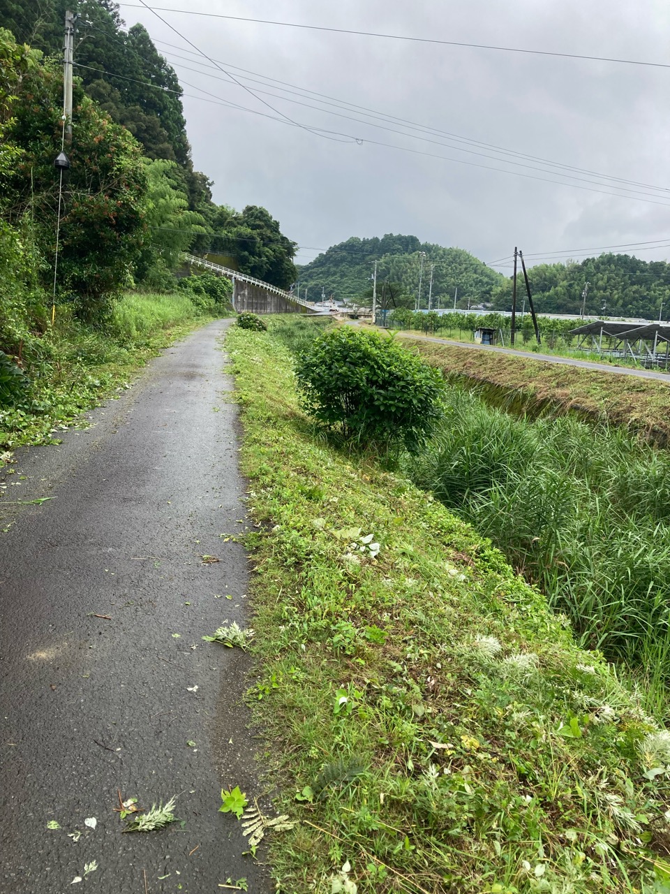 地域の草刈り