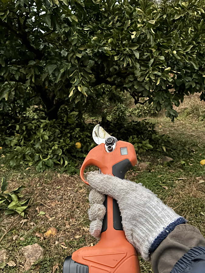 電動剪定ハサミ