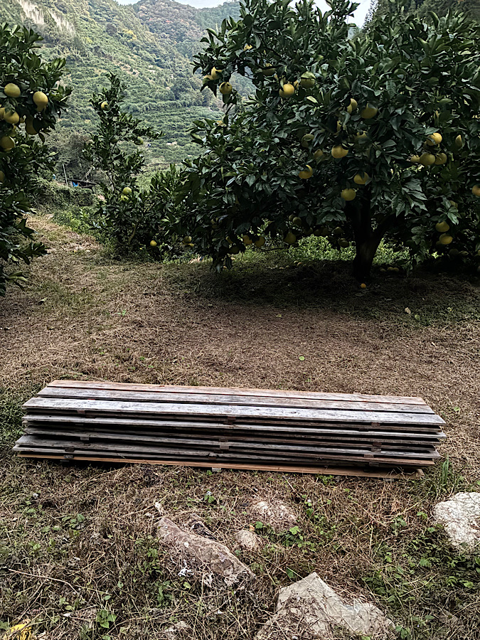 なんだかダラダラになった日