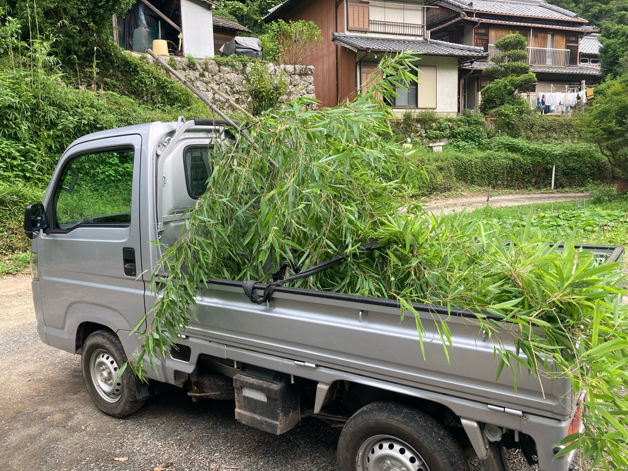 笹竹、配達します〜