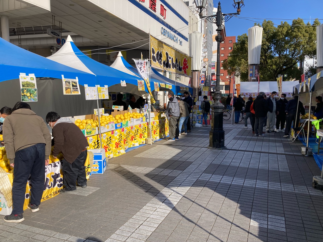 文旦祭り