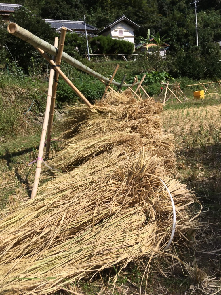 校内ハローワーク