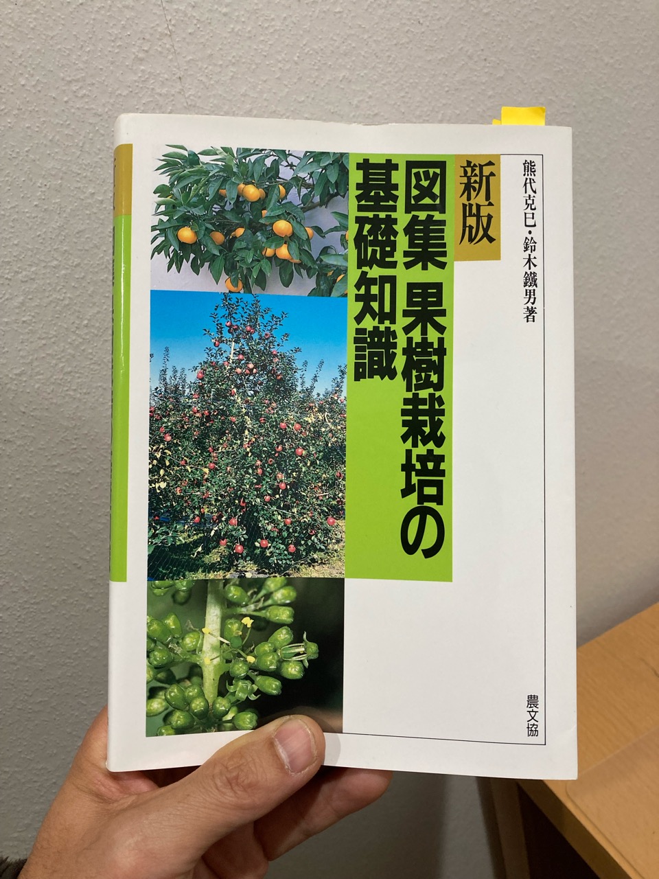 悩んだときは基本に立ち返る