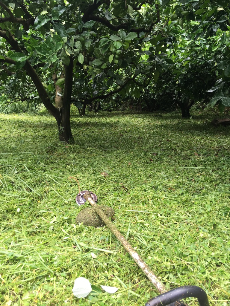 伸びる伸びる〜