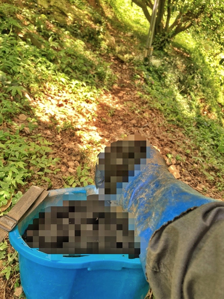 栽培方法をアップデート