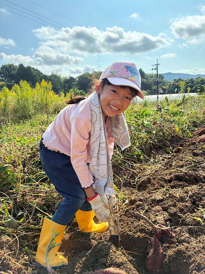 芋掘りしてきたよ
