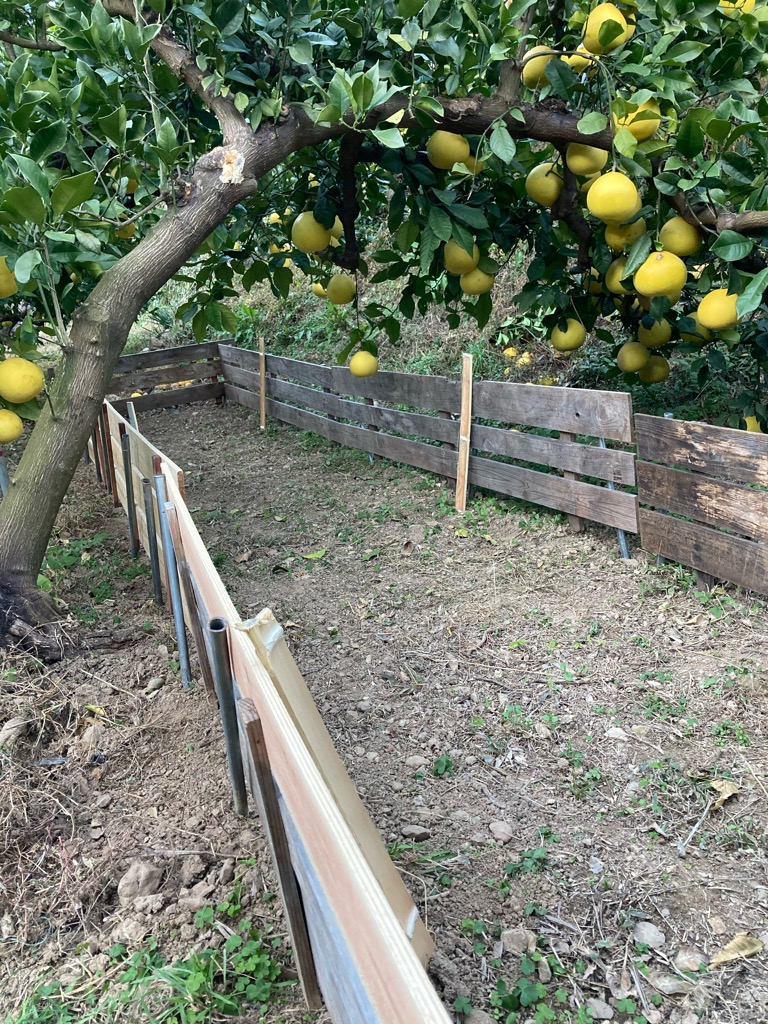 野囲いづくりの続き