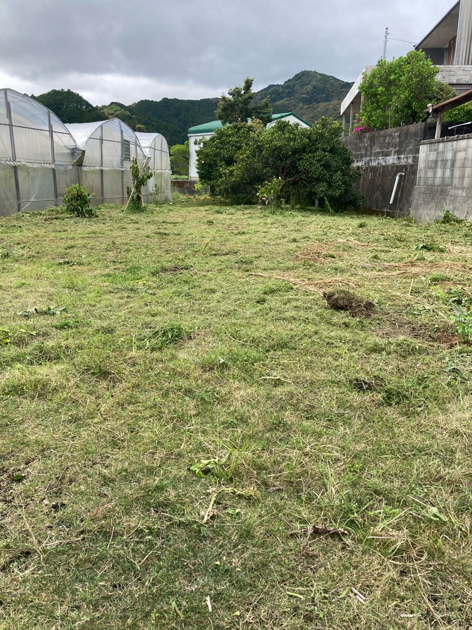 庭の草刈り