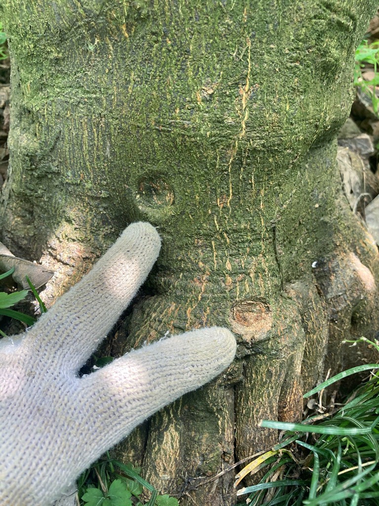 穴が塞がった穴