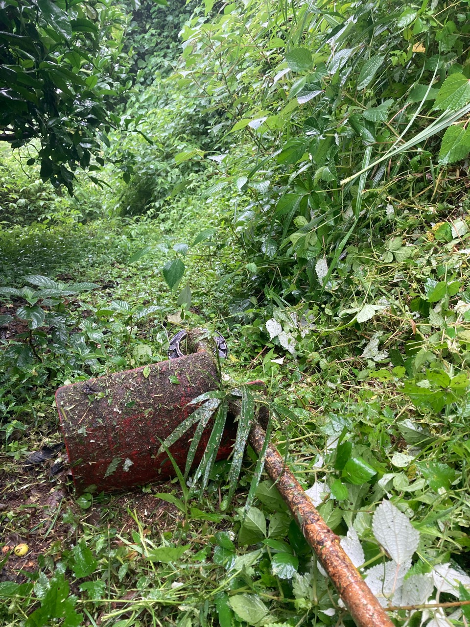 雨の日の仕事
