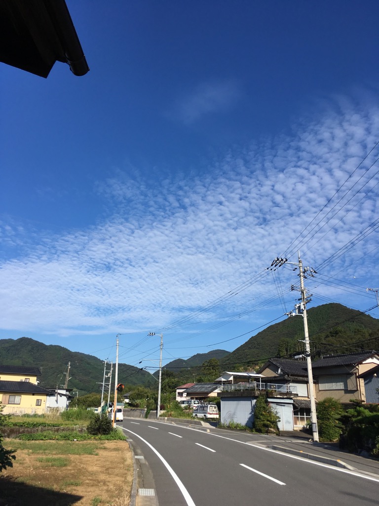 秋到来のうろこ雲