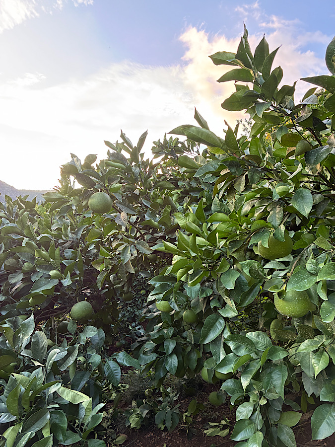 季節が移り変わる