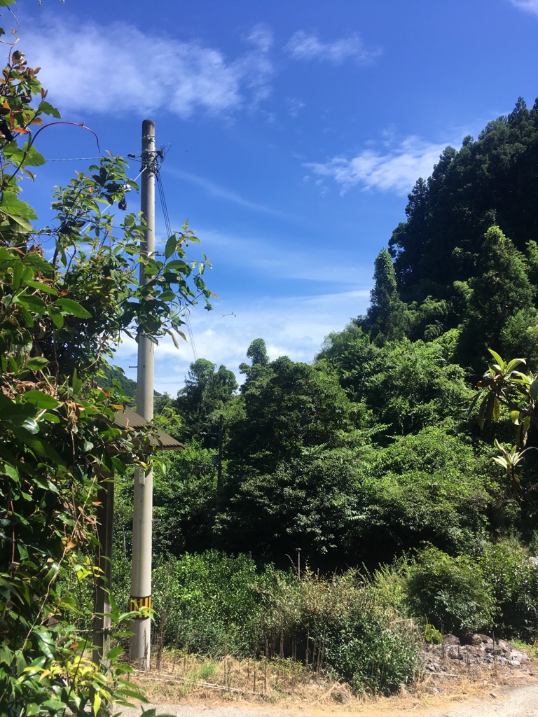 嵐の前の静けさ