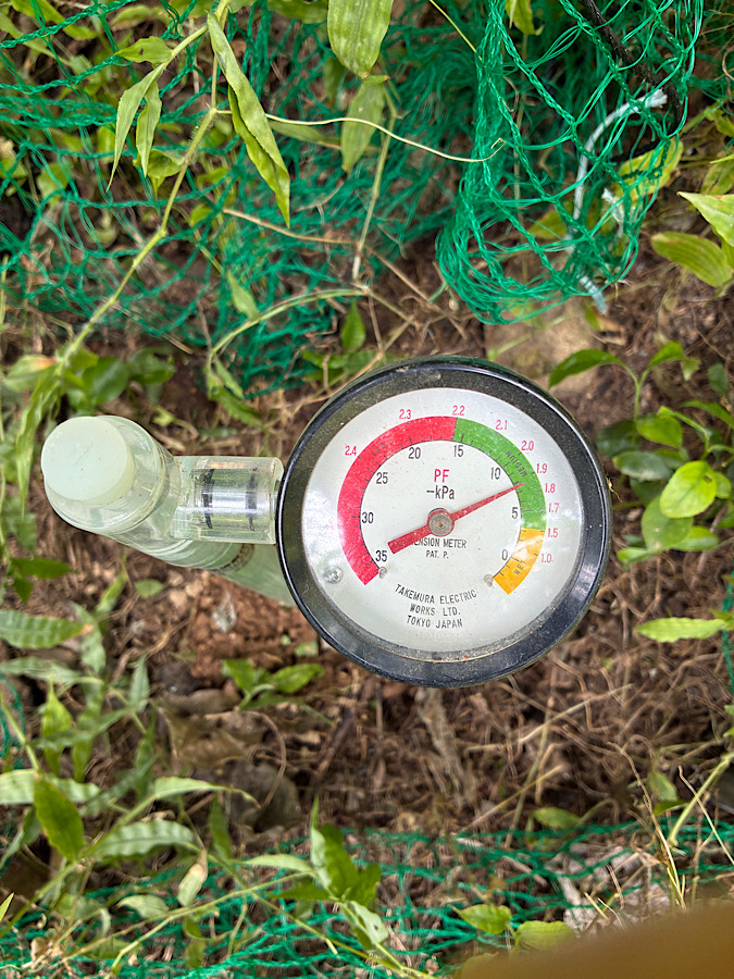 意外と乾いてない?