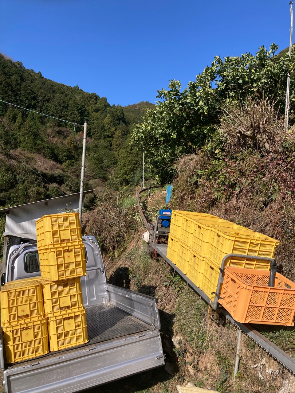 出張も荷造りも頑張れ