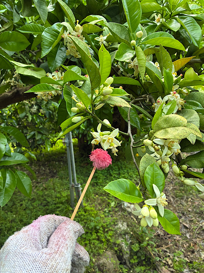 急げー