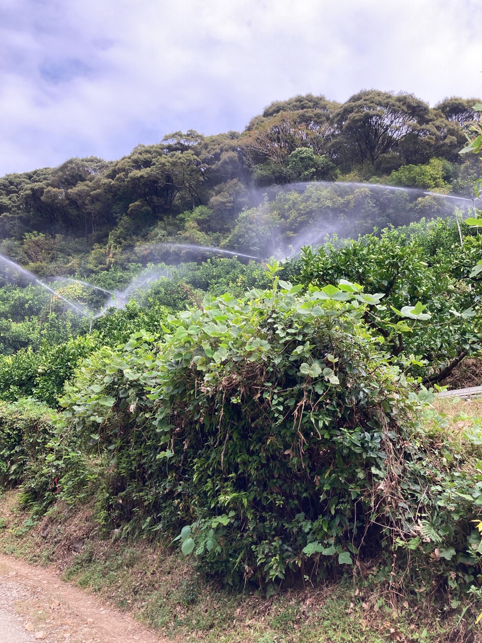なんか気になるを受け流さない