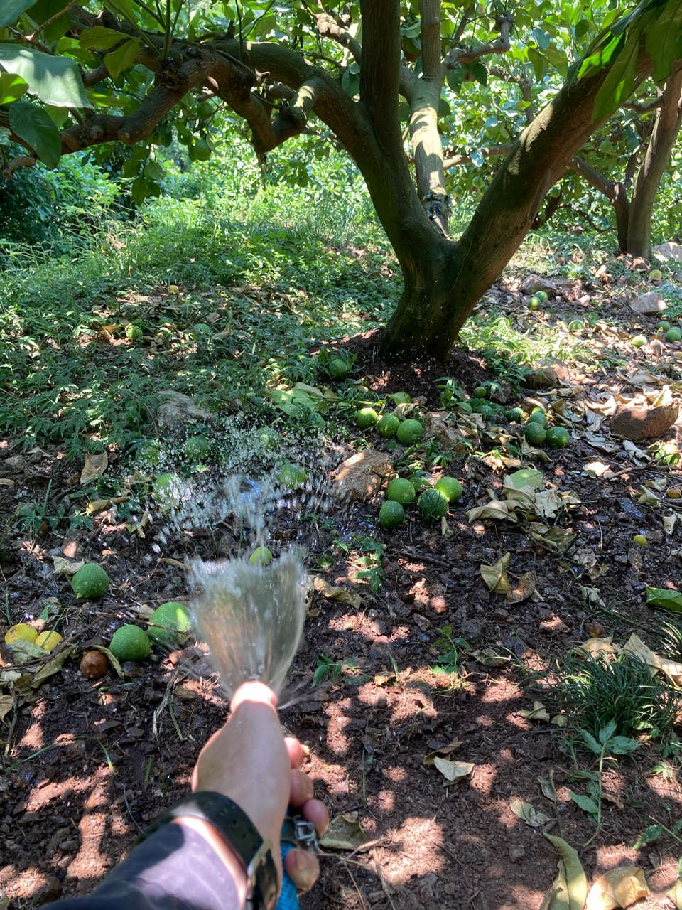 水分補給