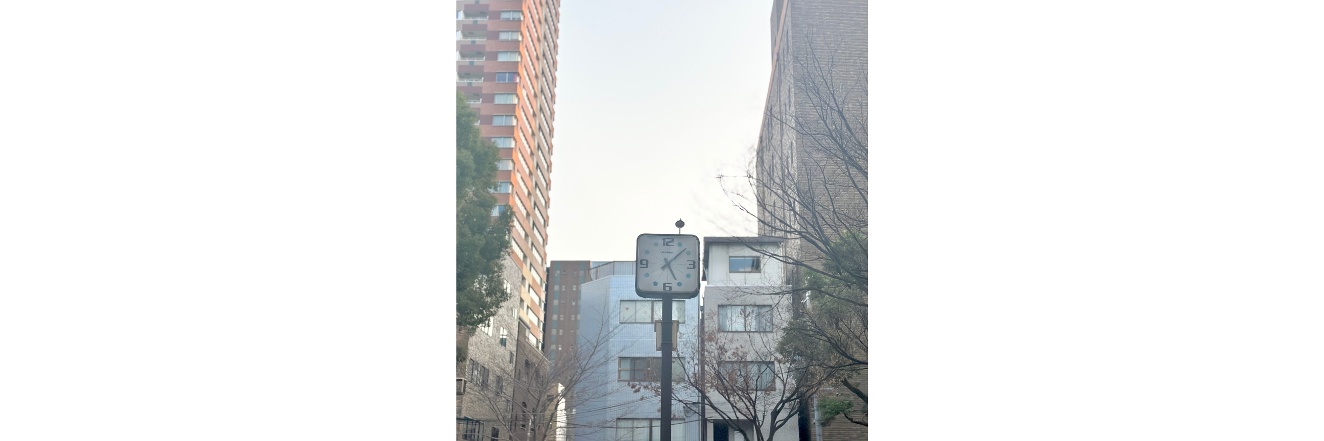 あたしが愛したすべてのものに