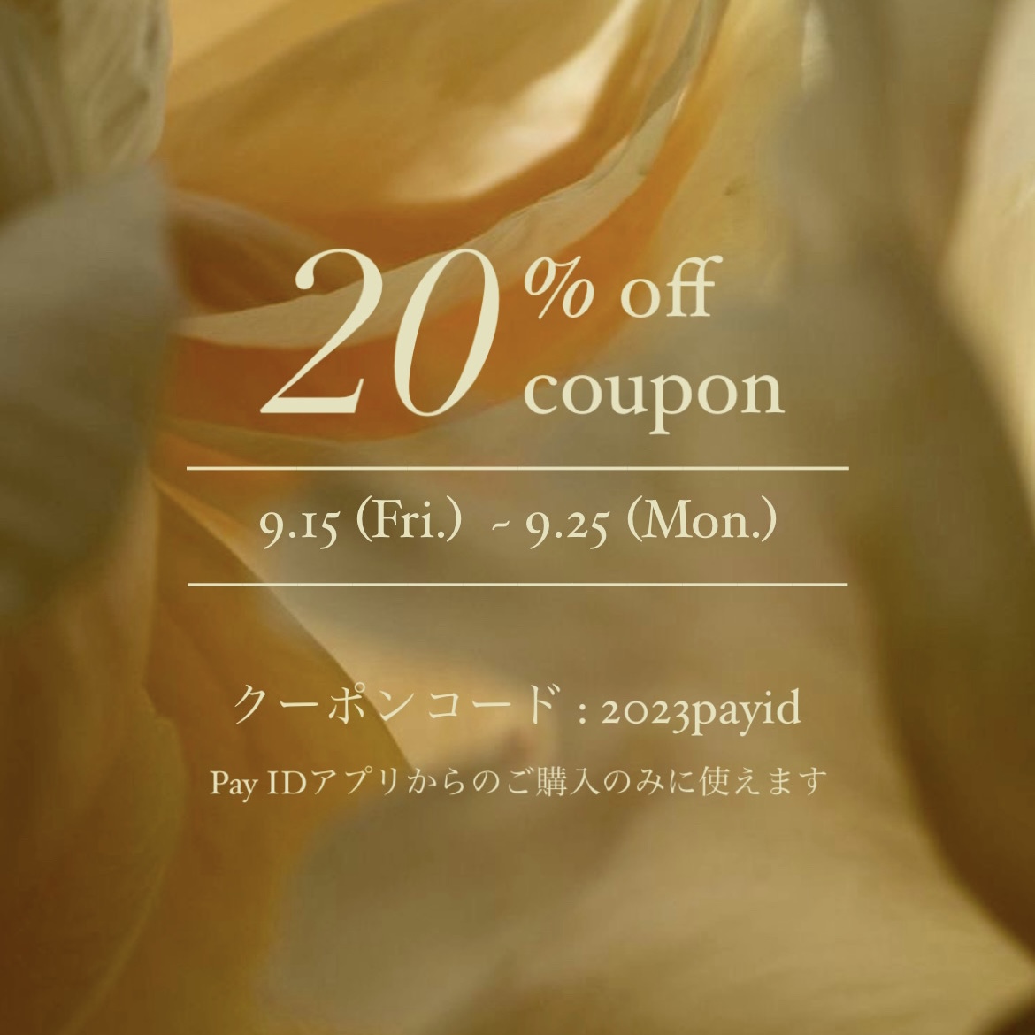 20%offクーポン！