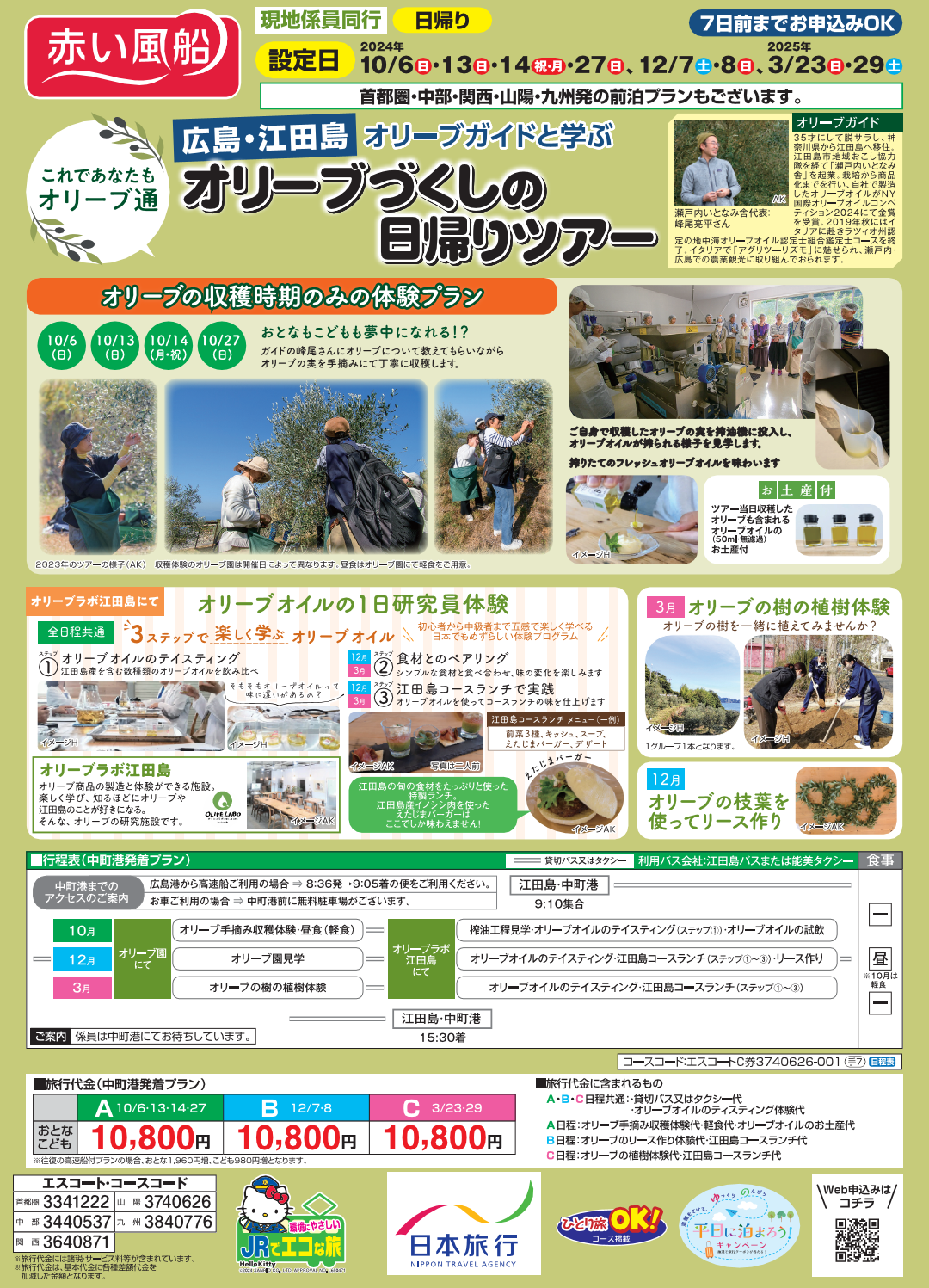 「オリーブオイルが出来るまで」を丸ごと体験 : 秋のオリーブツアー！