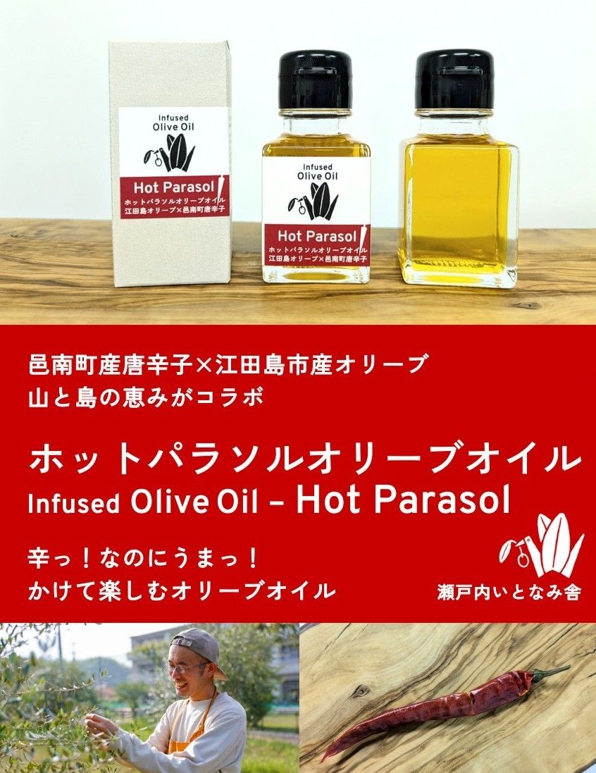 ホットパラソルオリーブオイル新発売