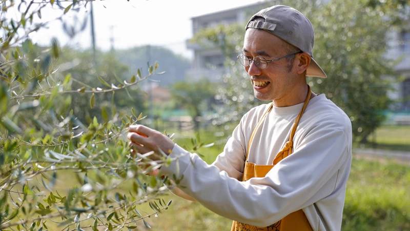 2025年ありがとうございました(瀬戸内 江田島のオリーブ農家)