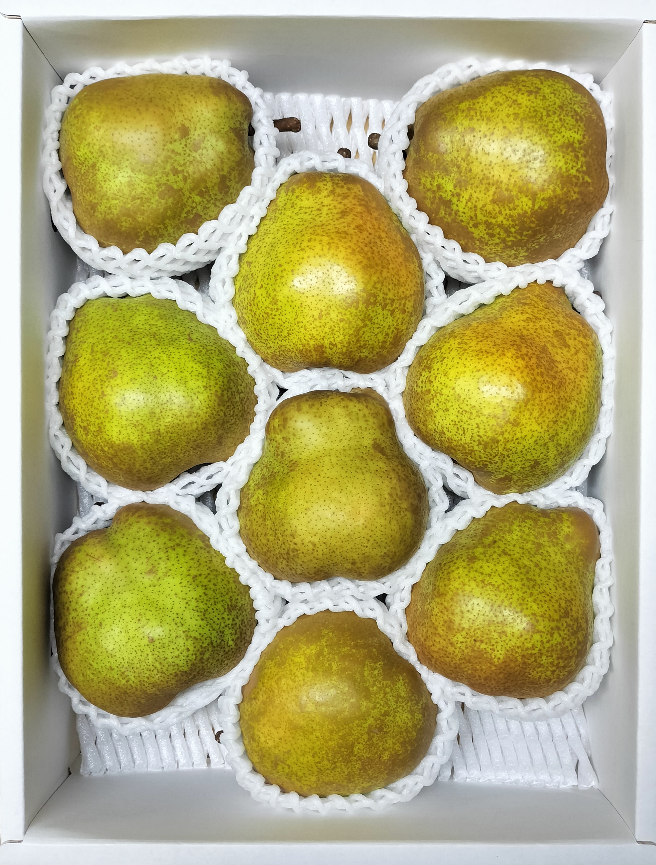 🍐ラフ発送開始です🍐