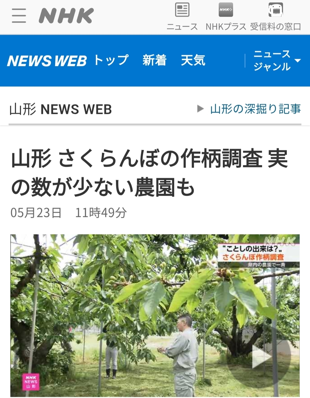 2025年5月下旬🍒生育状況