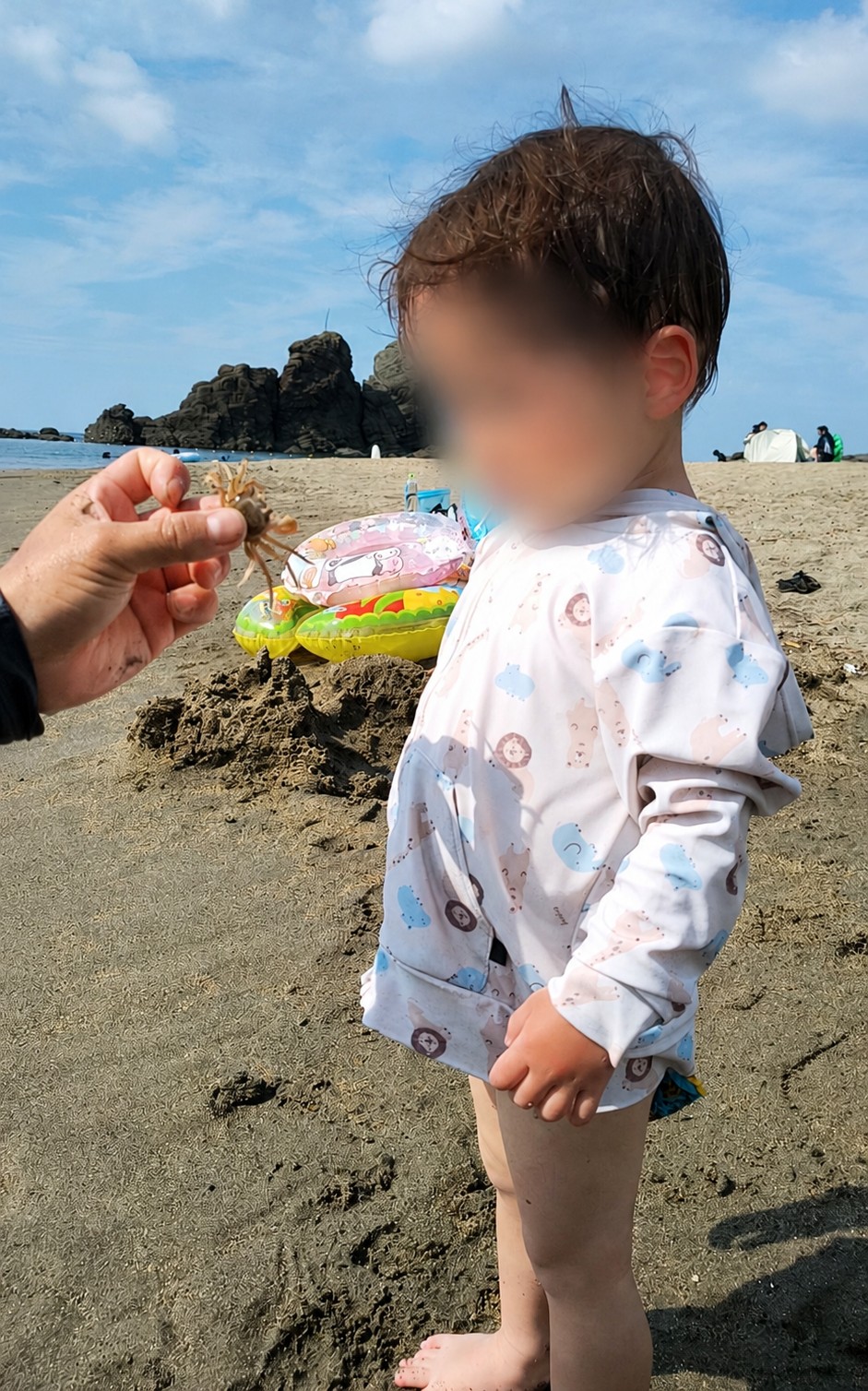 🍑今が旬！いけだと陽夏妃、本格的に収穫開始です