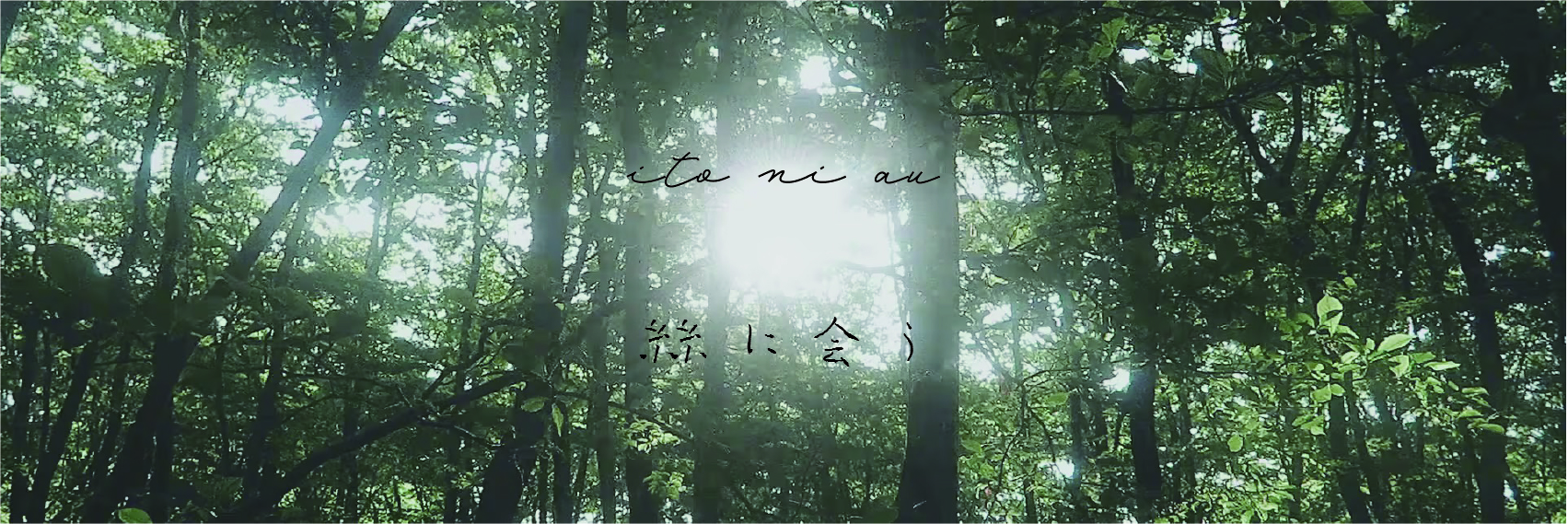 今月の予定