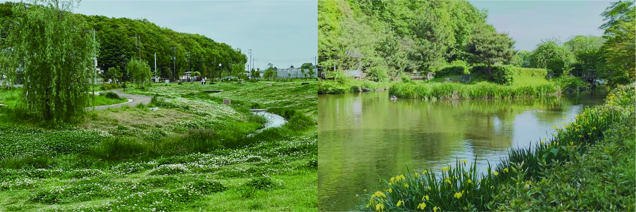 小さなお店のこと / shop.salon cafe