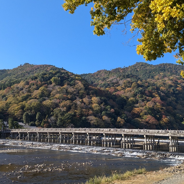 【紅葉に彩られた渡月橋】