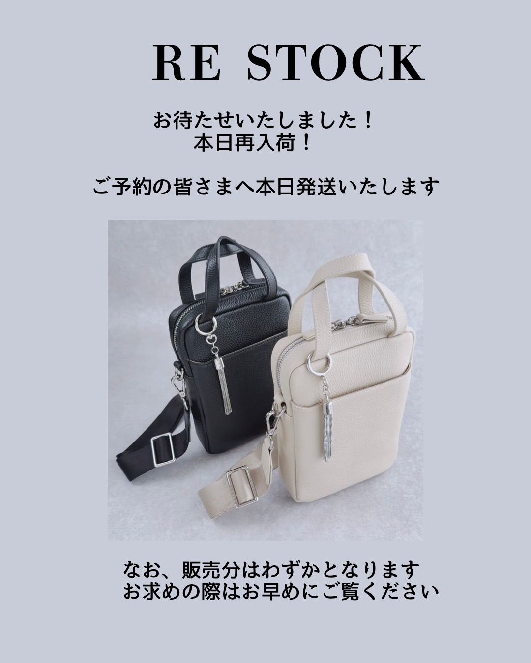 【本日の再入荷】