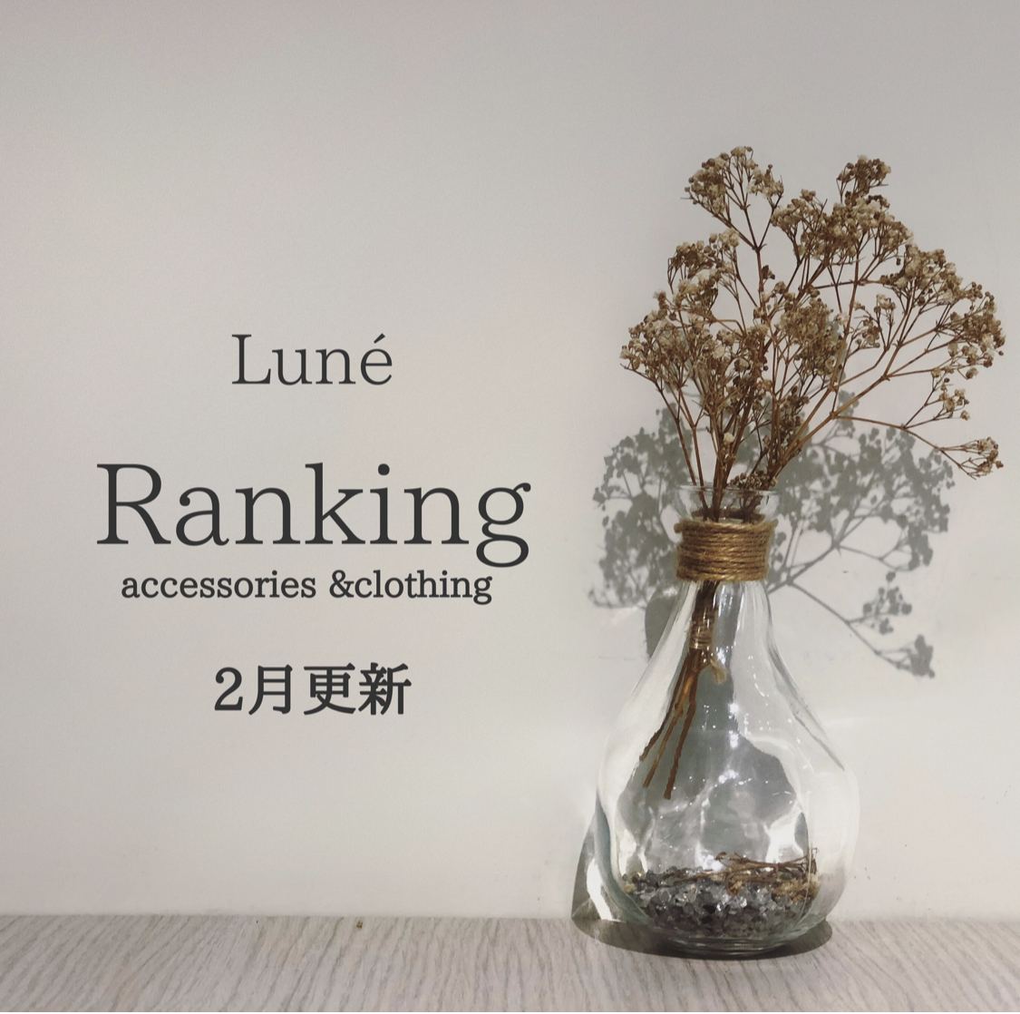 2月更新【人気ランキング👑】