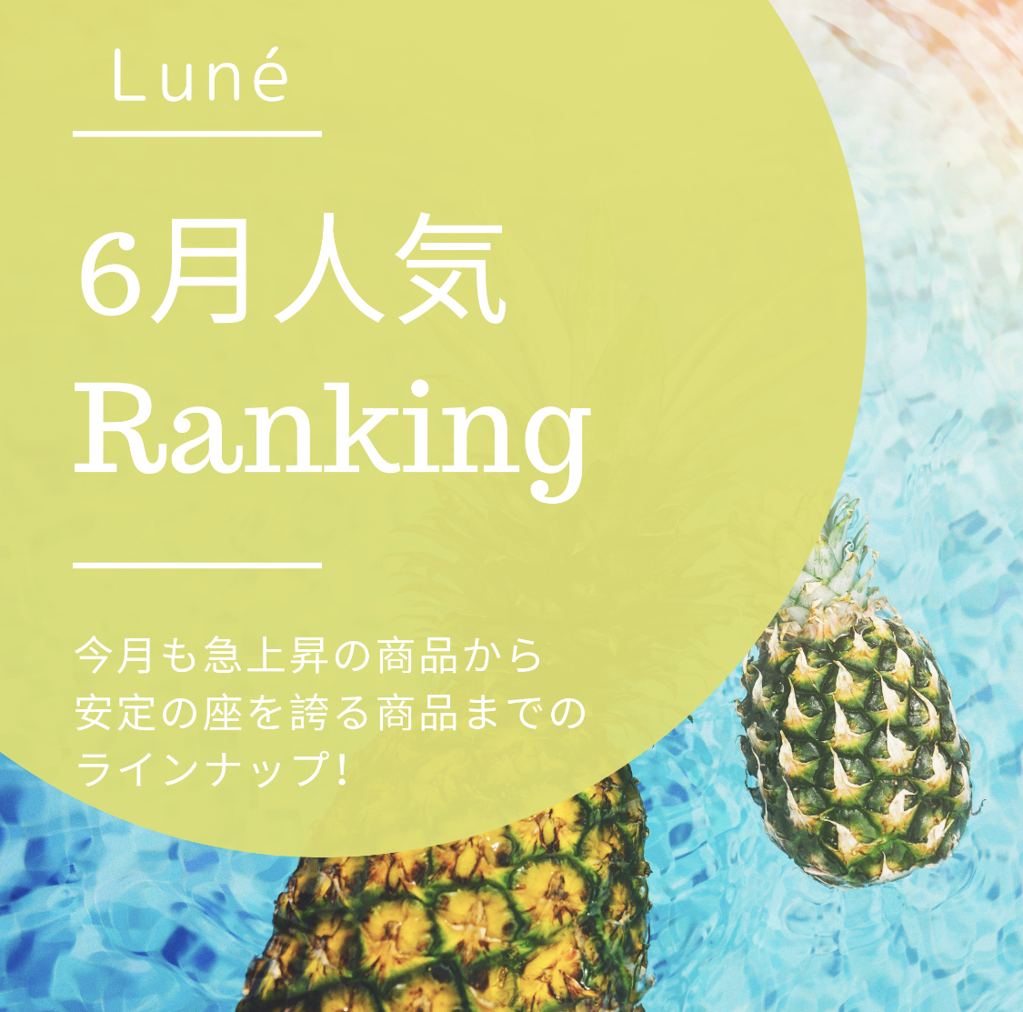 👑6月人気ランキングBest15👑