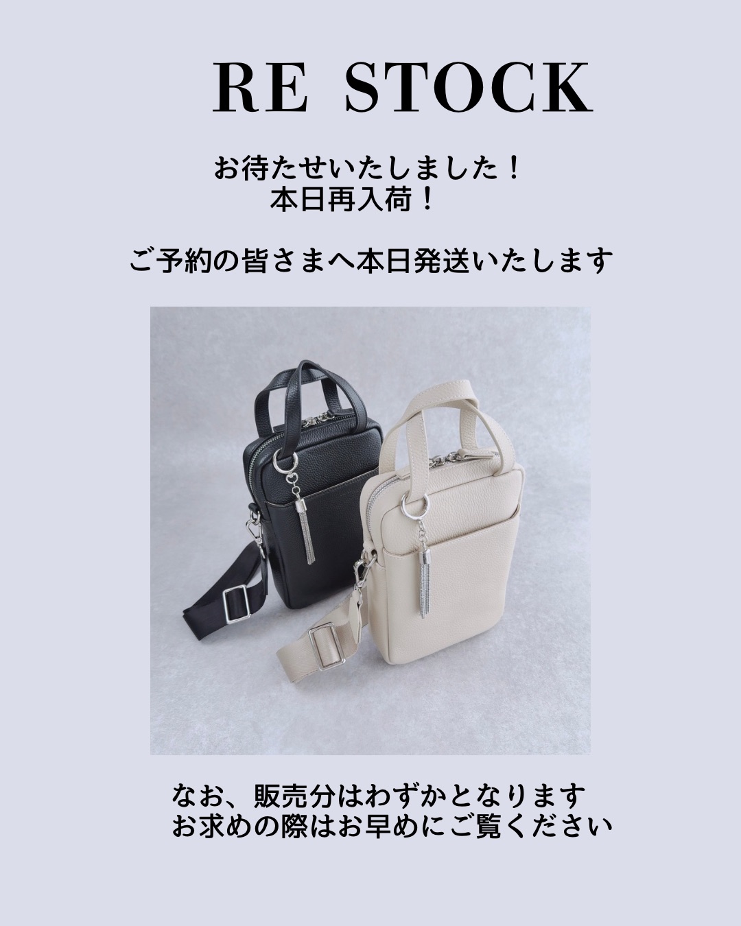 ［本日の再入荷］
