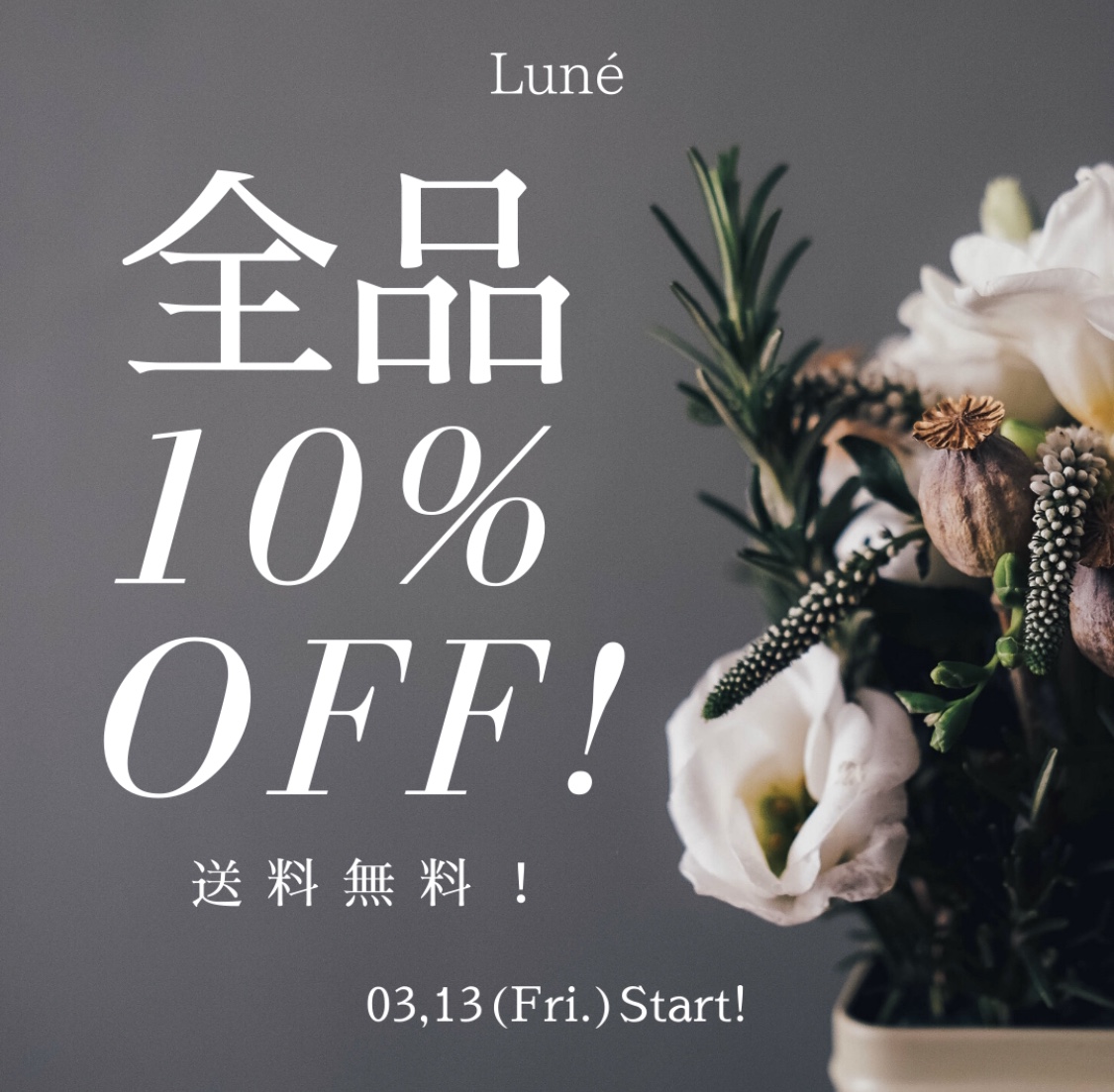 【SALE🔥スタート❗️】