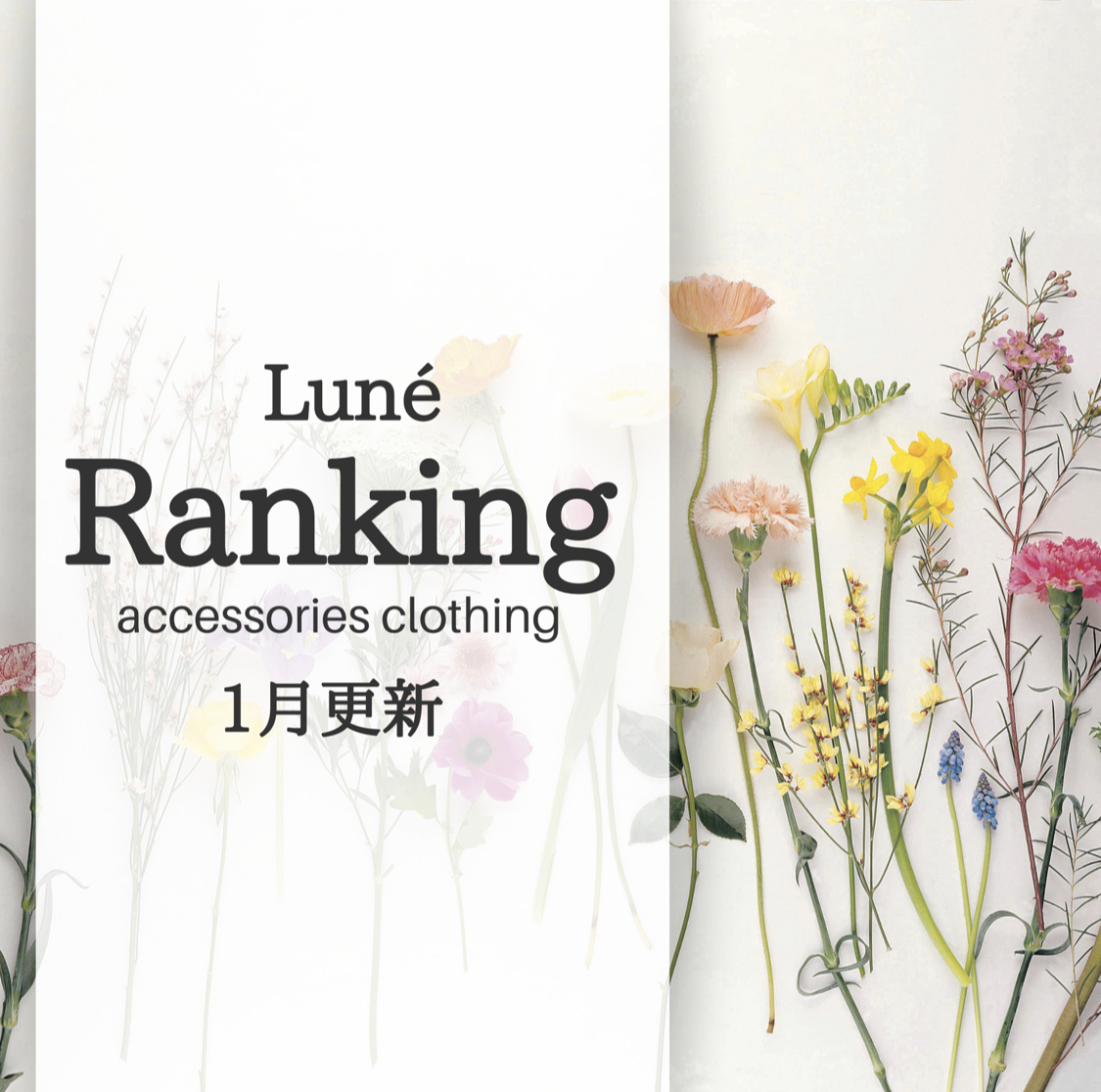 【人気ランキング👑】1月更新
