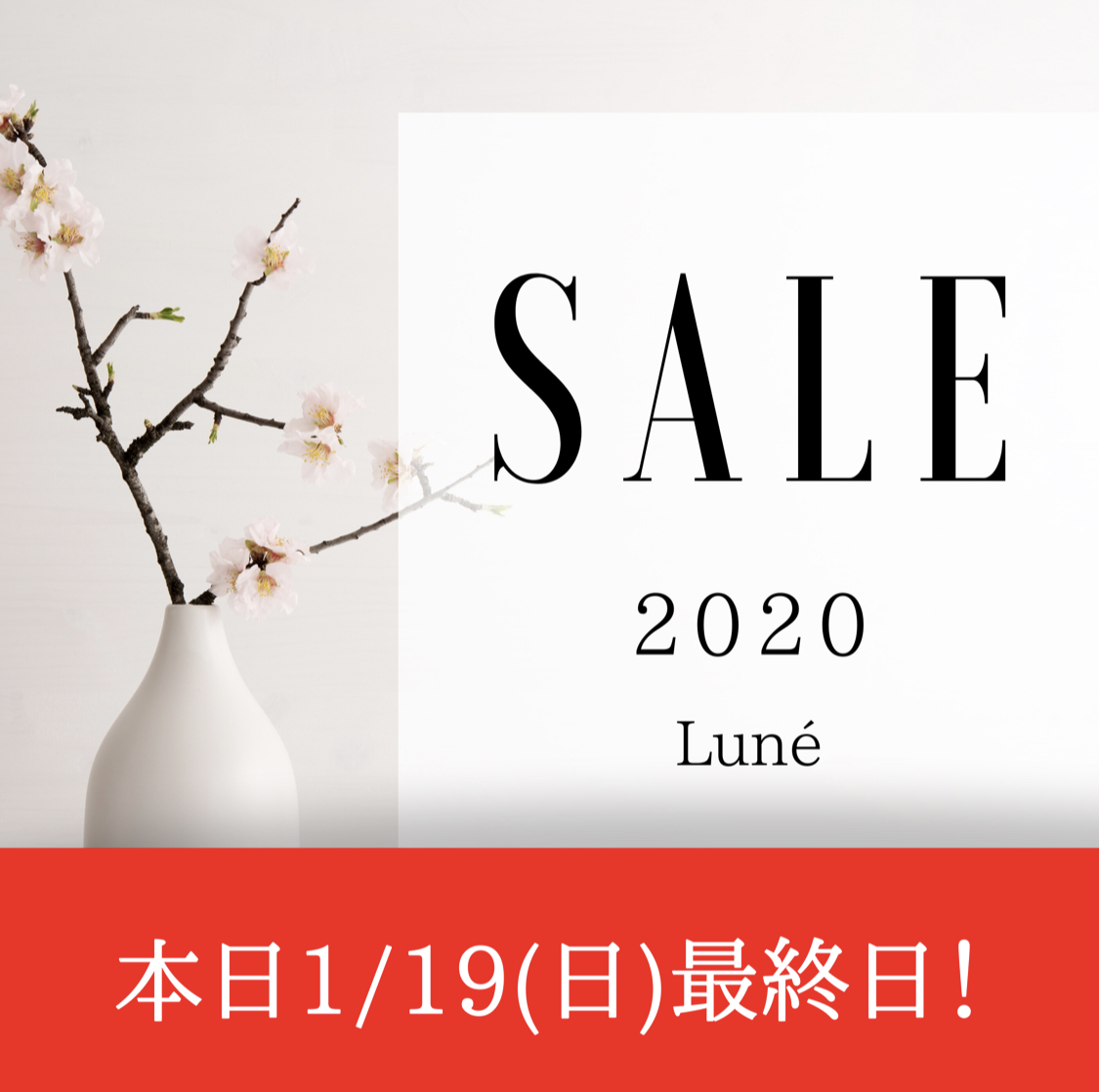 ＼＼SALE最終日🔥/／／