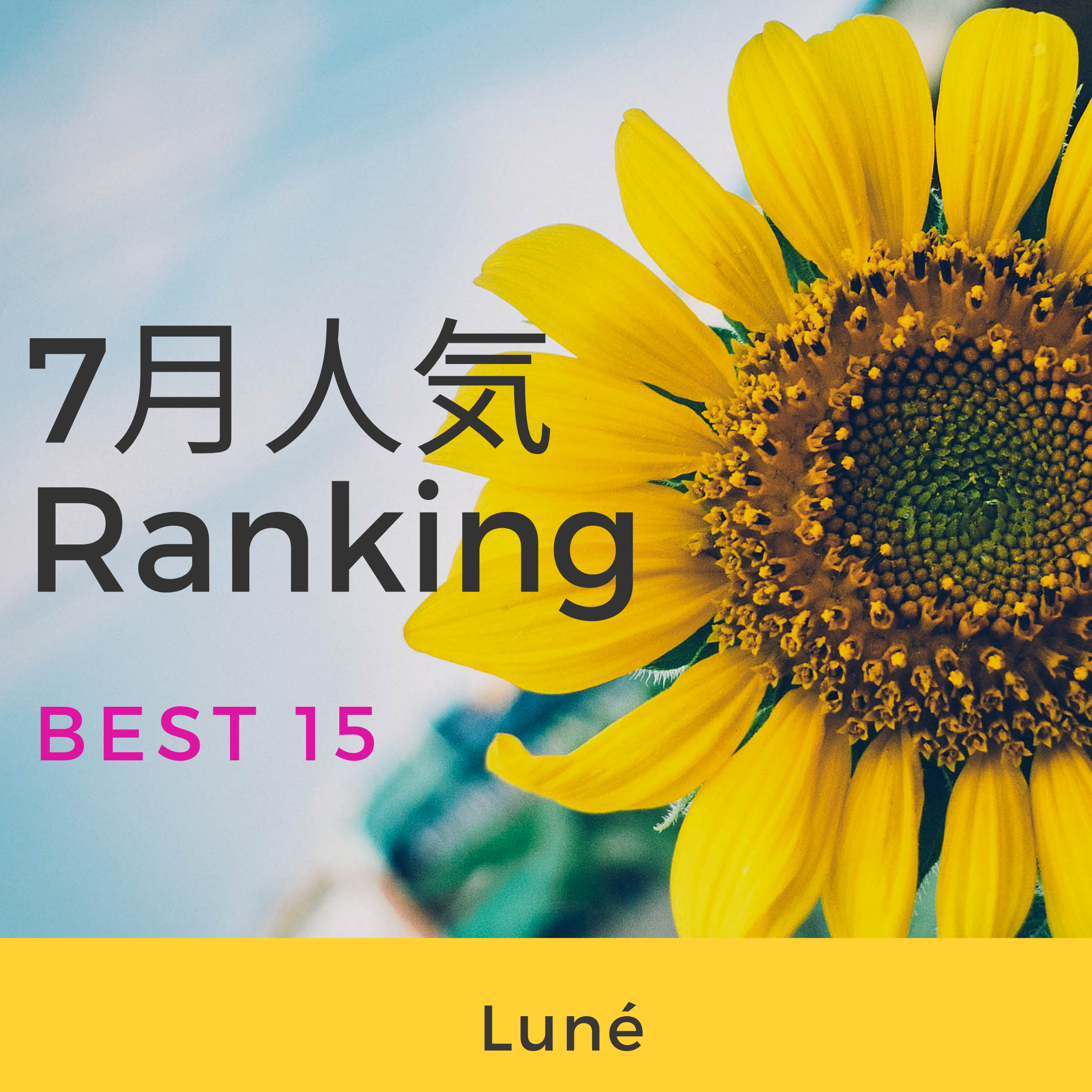 【7月人気ランキングBest 15👑】