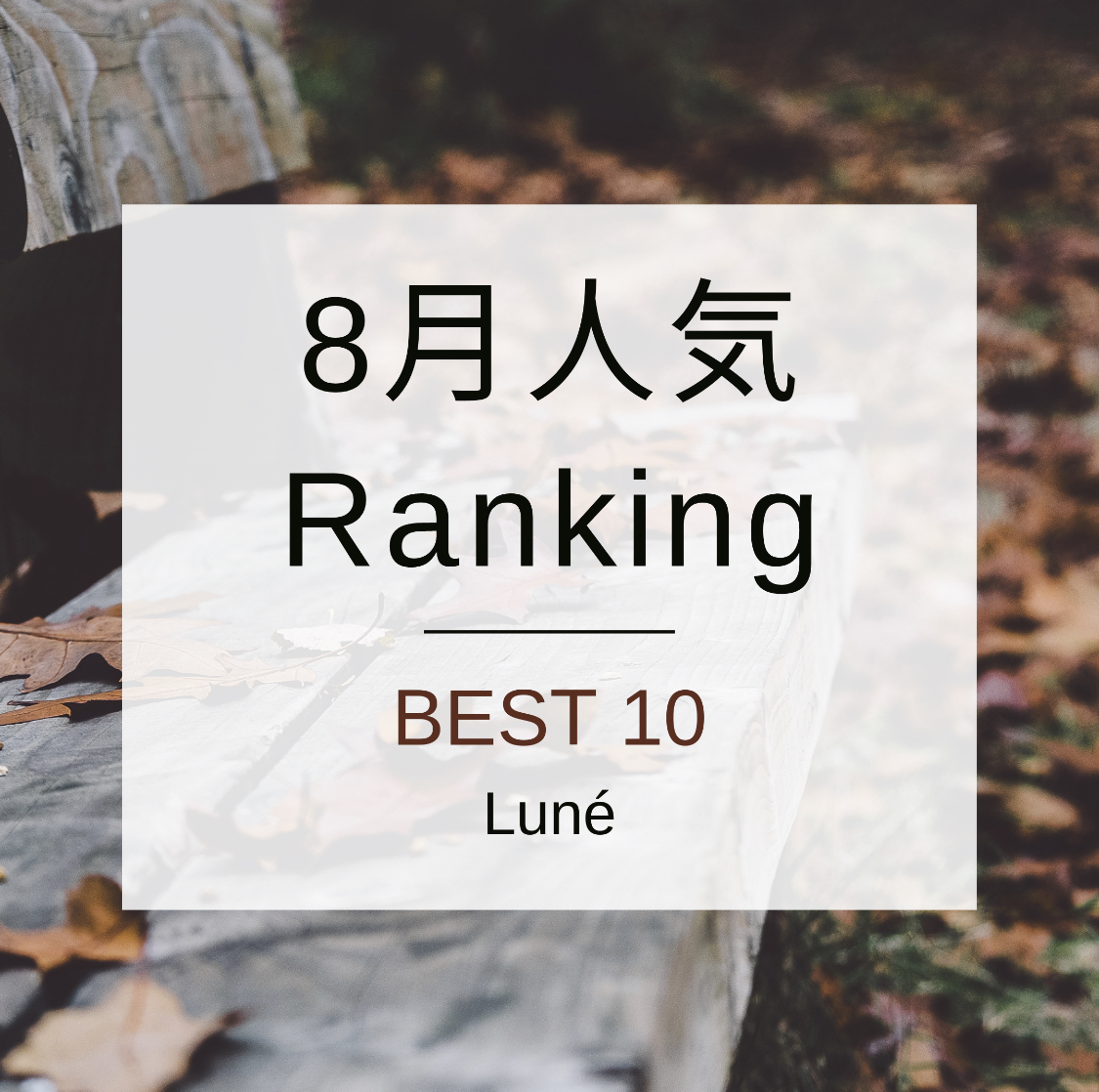 【 8月人気ランキング 】👑✨