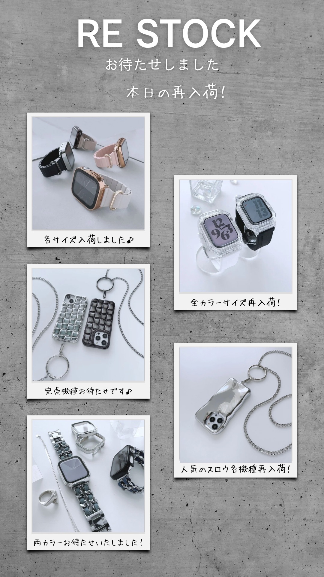 【本日の再入荷】